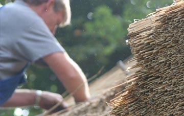 professional Ibsley thatchers